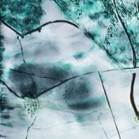 Detail of farmland areas